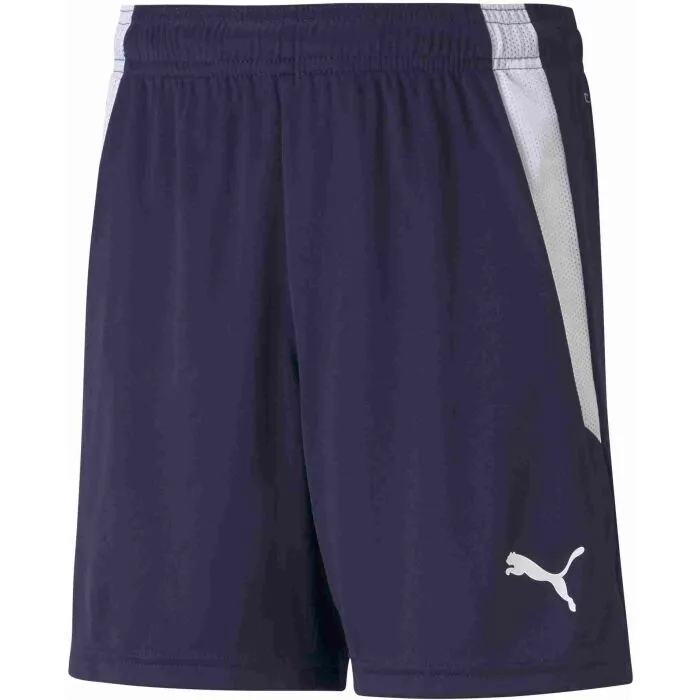 Puma TEAMLIGA SHORTS JR